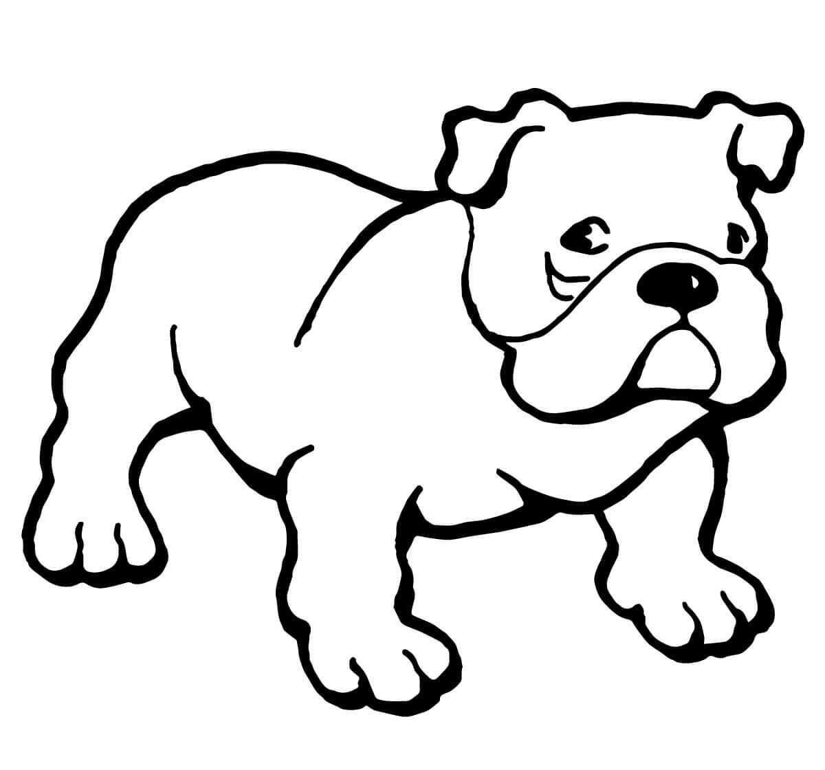 Bulldog da colorare