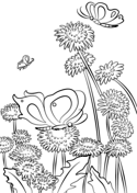 Butterflies and Flowers Coloring Page