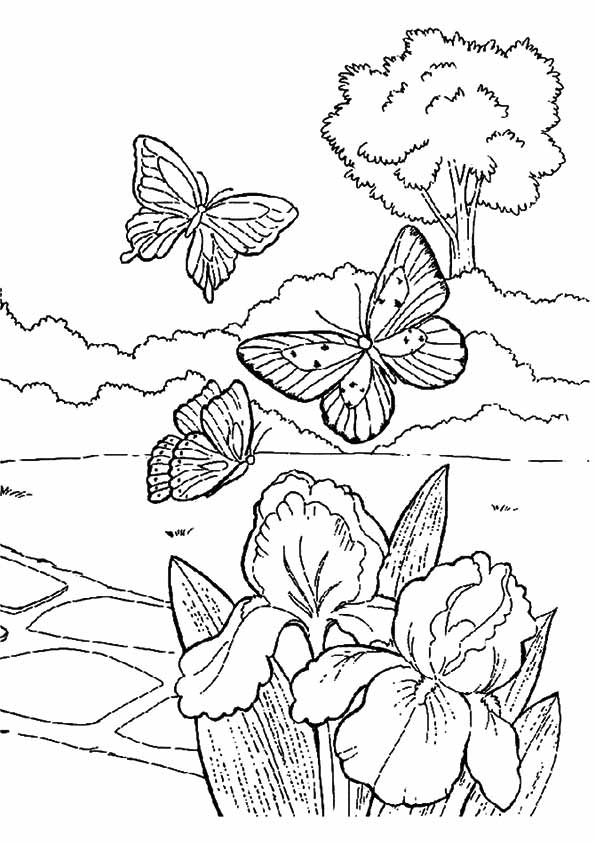 Farfalle che volano nella pagina da colorare di primavera