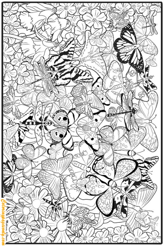 Бабочки Хард Картинка из Харда