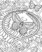 Butterfly Hard Coloring Pages