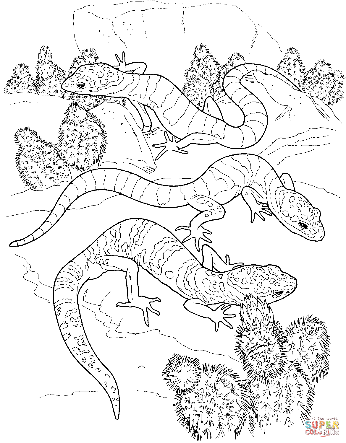 Кактус и ящерица из Кактуса