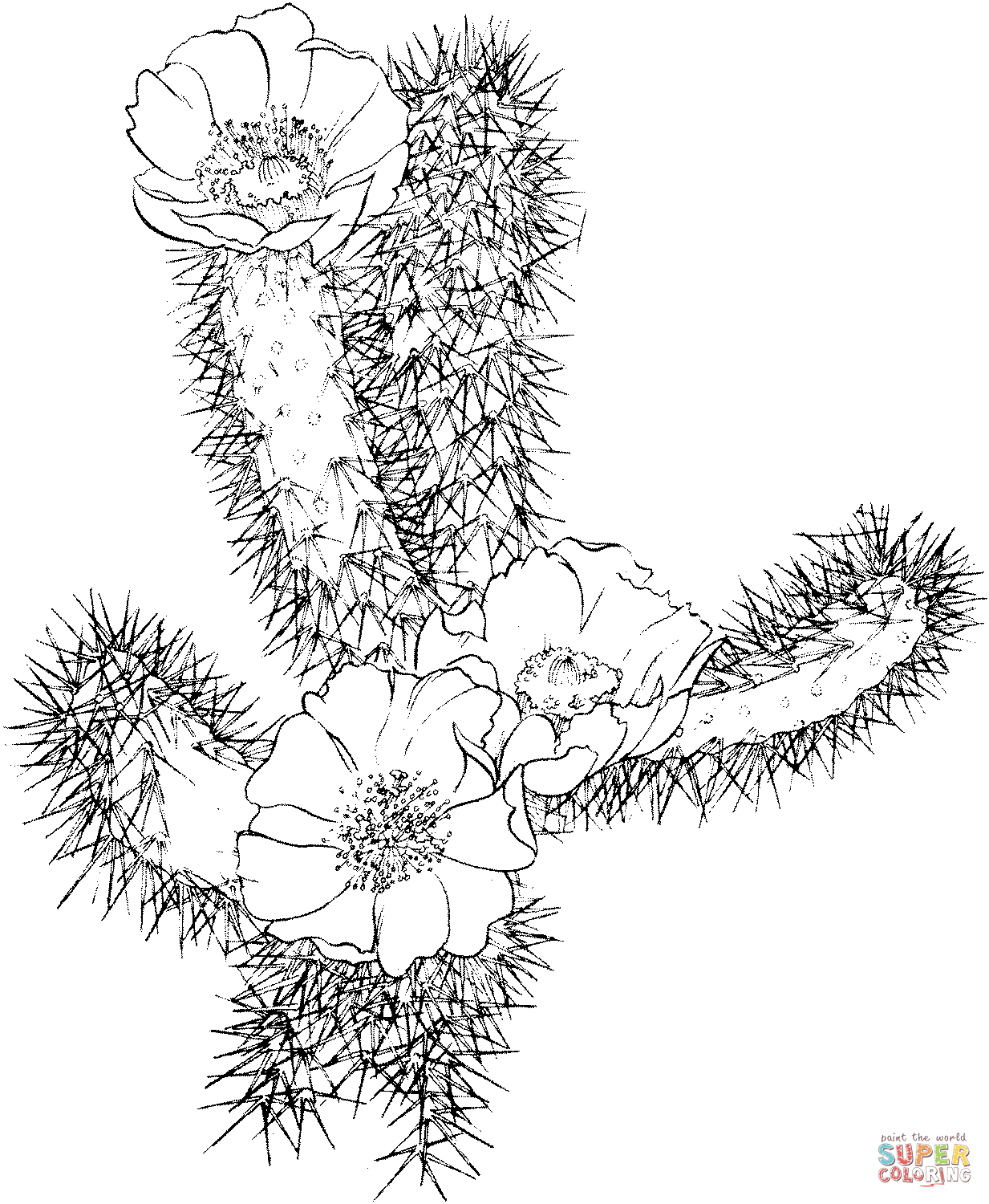 Cactus Bloom Coloring Pages