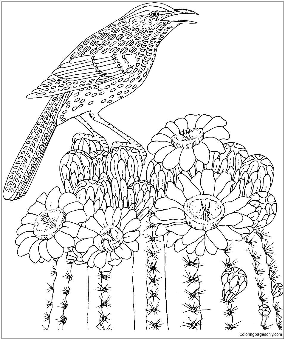 Cactus Wren and Saguaro blossom Arizona state bird and flower Coloring Page