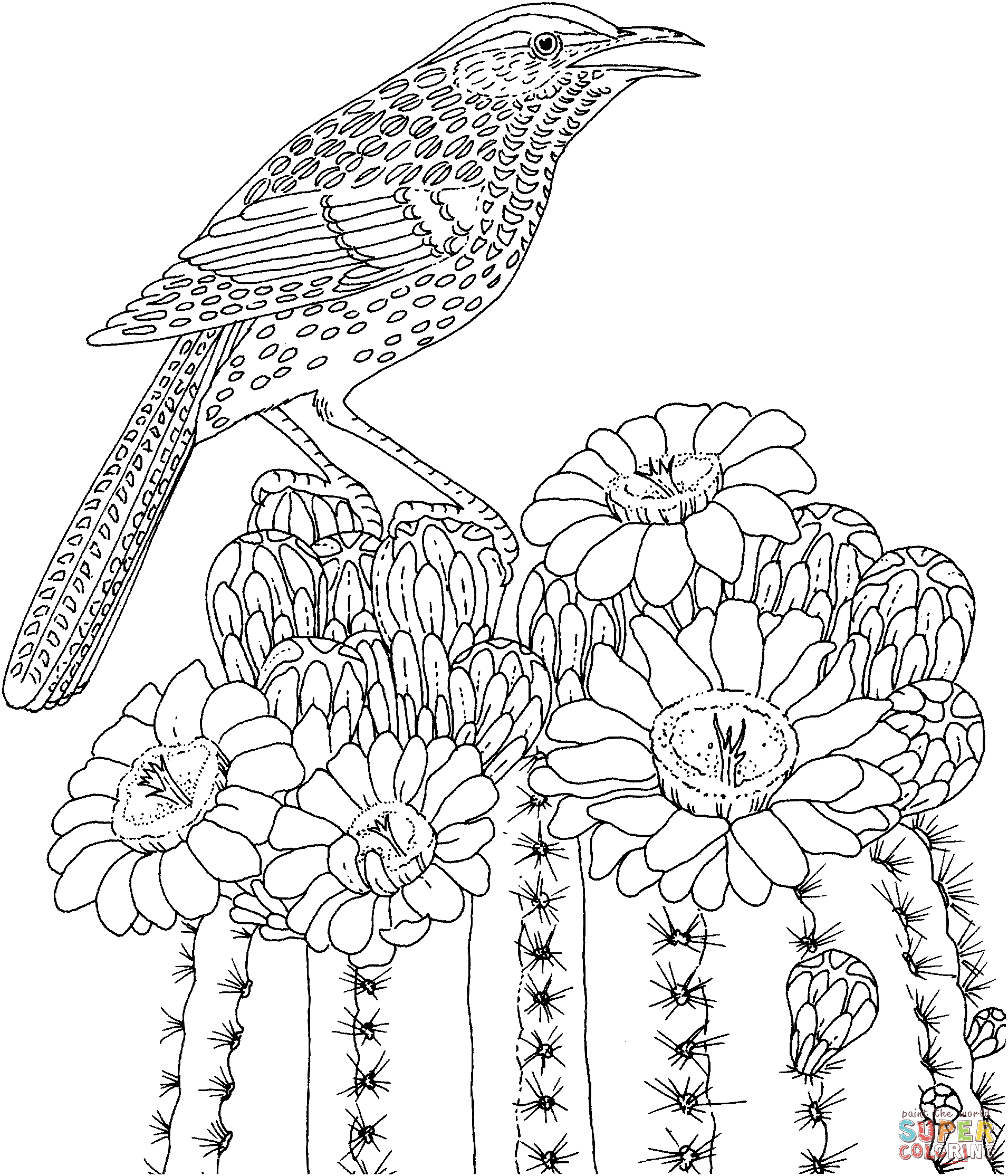 Кактус Рен и Сагуаро цветут птица штата Аризона и цветок кактуса