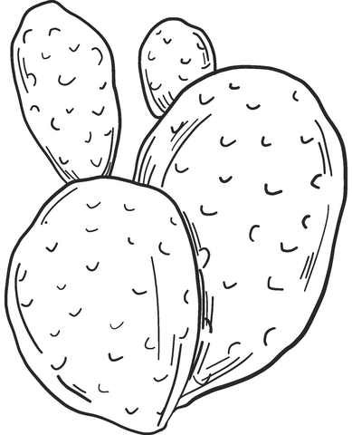 Cactus Coloring Pages
