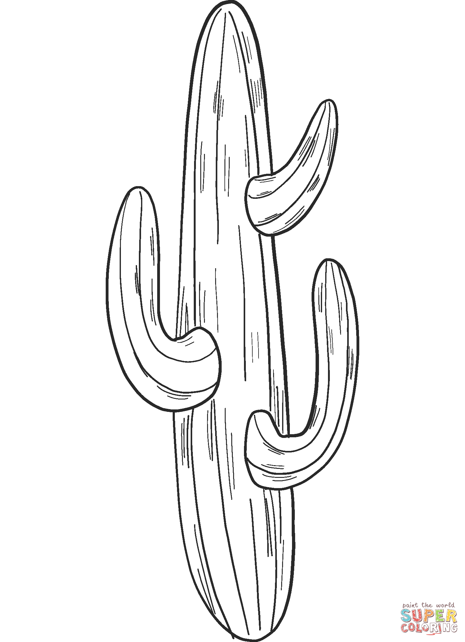 Cactus van Cactus
