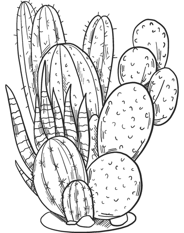 Cactussen Kleurplaat