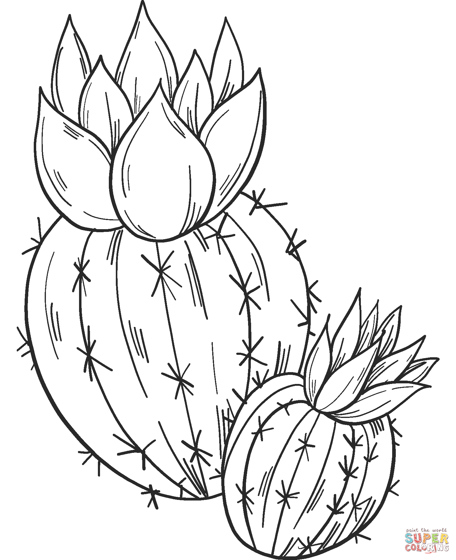 Cactus Coloring Page - Cactos Desenho Para Colorir Png - Free