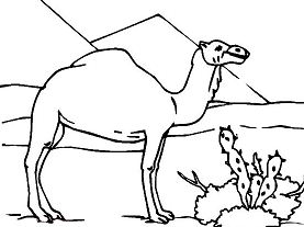 Camel and Cactus Coloring Pages