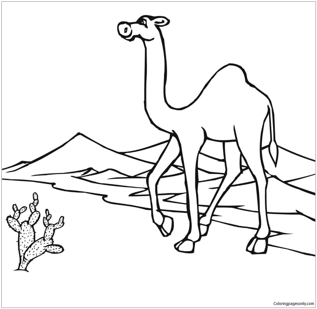 Download Camel On The Go Through Desert Coloring Pages - Nature & Seasons Coloring Pages - Free Printable ...