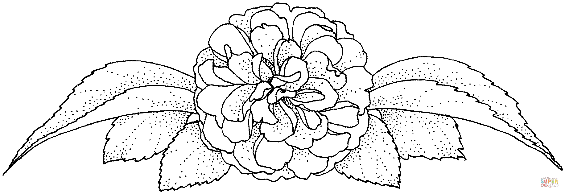 Раскраска цветка Камелия