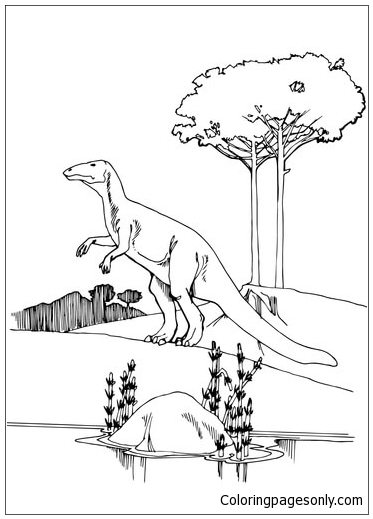 Camptosaurus Ornithischian الديناصورات من Camptosaurus