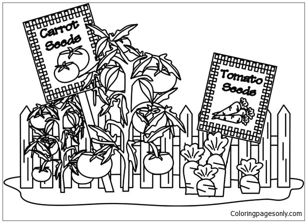 Carrot and Tomato Garden Coloring Page
