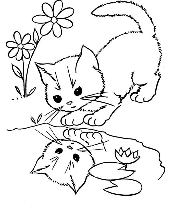 Cat Looking At The Water Coloring Page