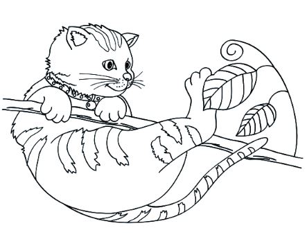 Cat on Tree Coloring Page