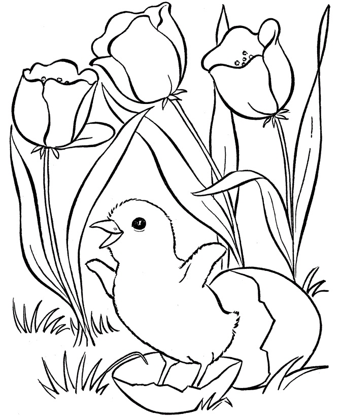 Chicks and Flowers Coloring Page