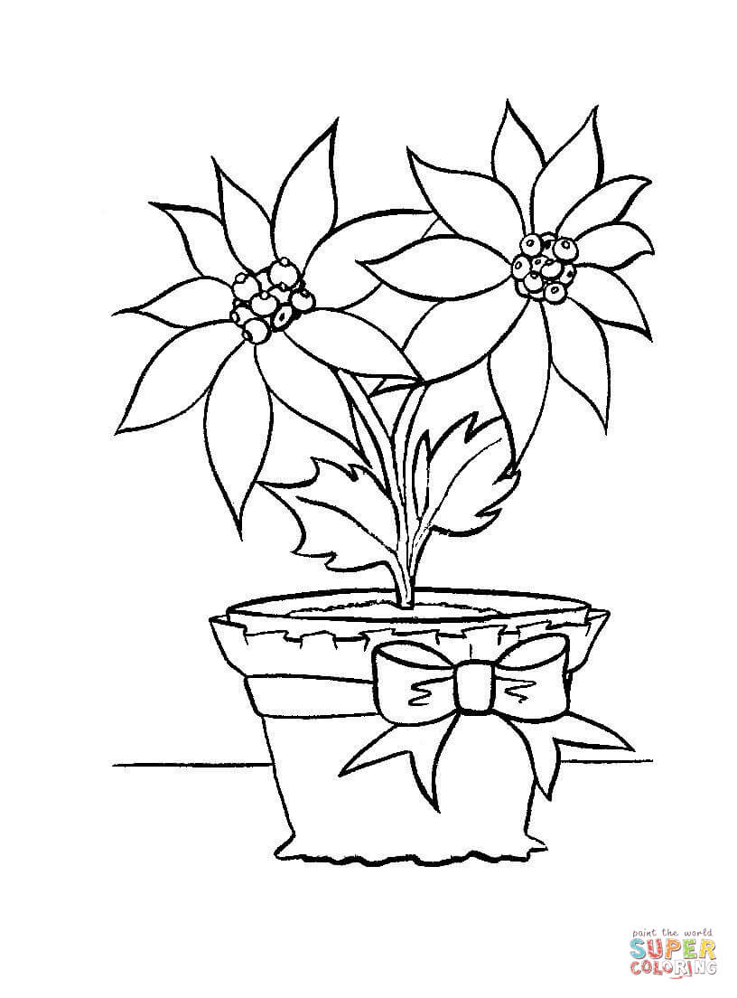 Christmas Flower In In A Pot Coloring Pages