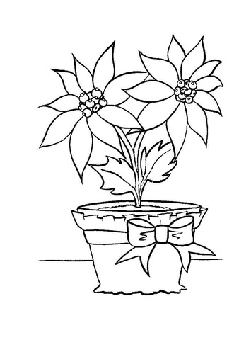 Christmas flower in in a pot Coloring Page