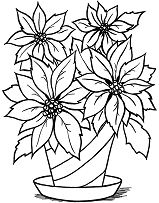Christmas Flower Coloring Pages