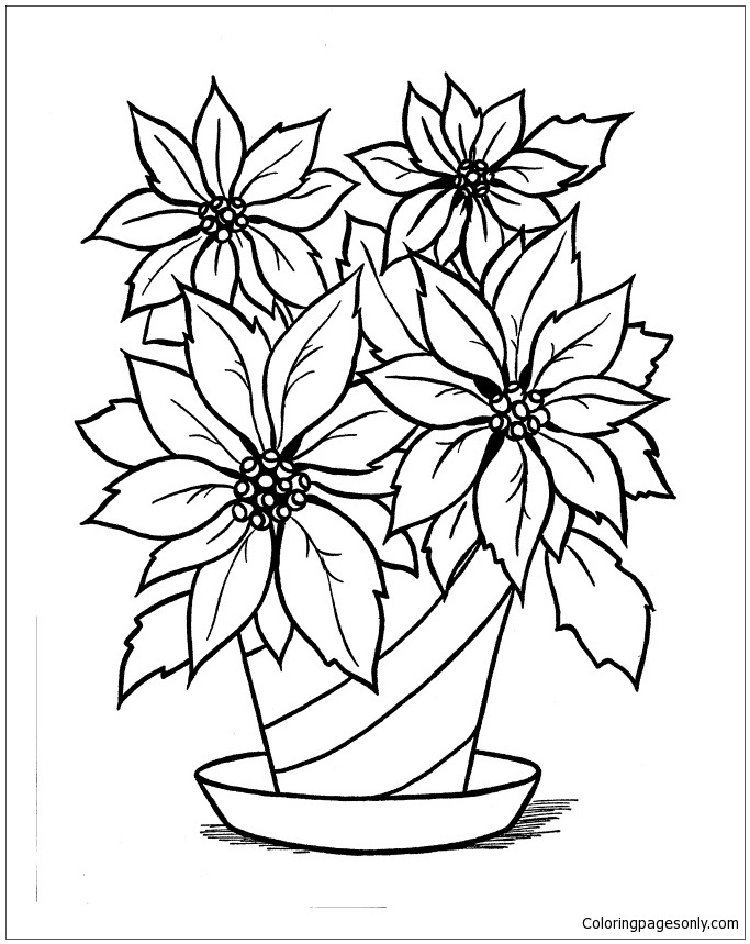 Christmas Poinsettia Coloring Pages Christmas 2023 Coloring Pages