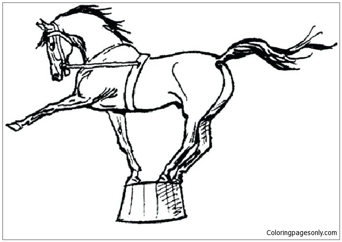 Download Circus Horses - image 2 Coloring Pages - Horse Coloring Pages - Free Printable Coloring Pages Online