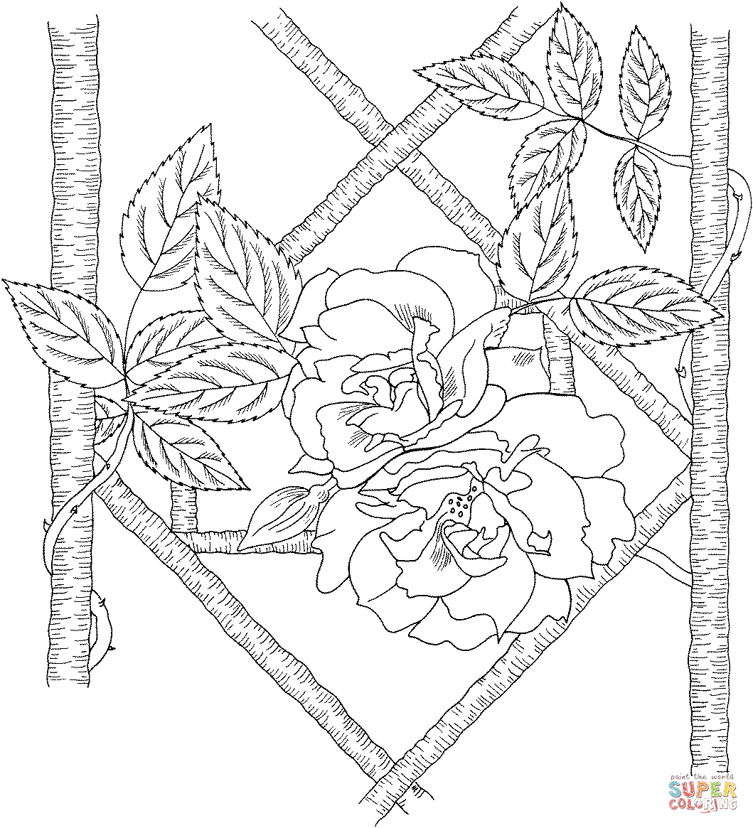 Climbing Blaze Rose Coloring Pages