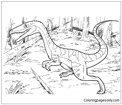 Coelophysis Bauri-dinosaurus uit Coelophysis