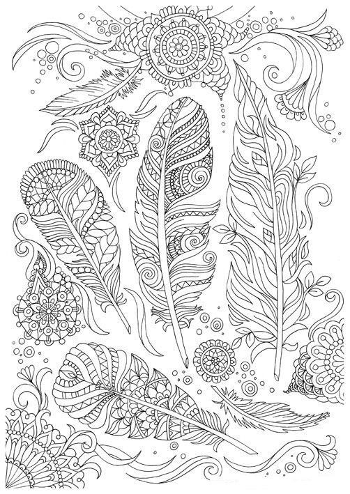 Colorful Six Feathers Coloring Pages