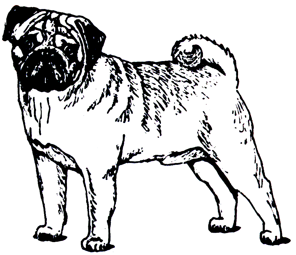 Pug Puppy Free Christmas Pug . Kids Coloring Pages