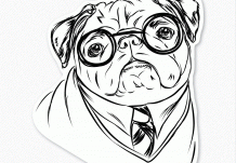 Best Photos of Pug – Pug Printable Coloring Page