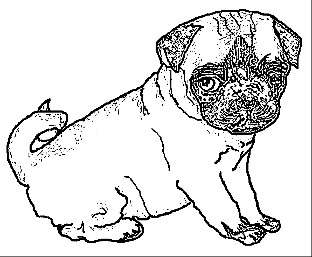 Pug Puppy Sketch Puppy Dog Pagina da colorare da Puppy