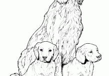 Dogs  Free Coloring Page