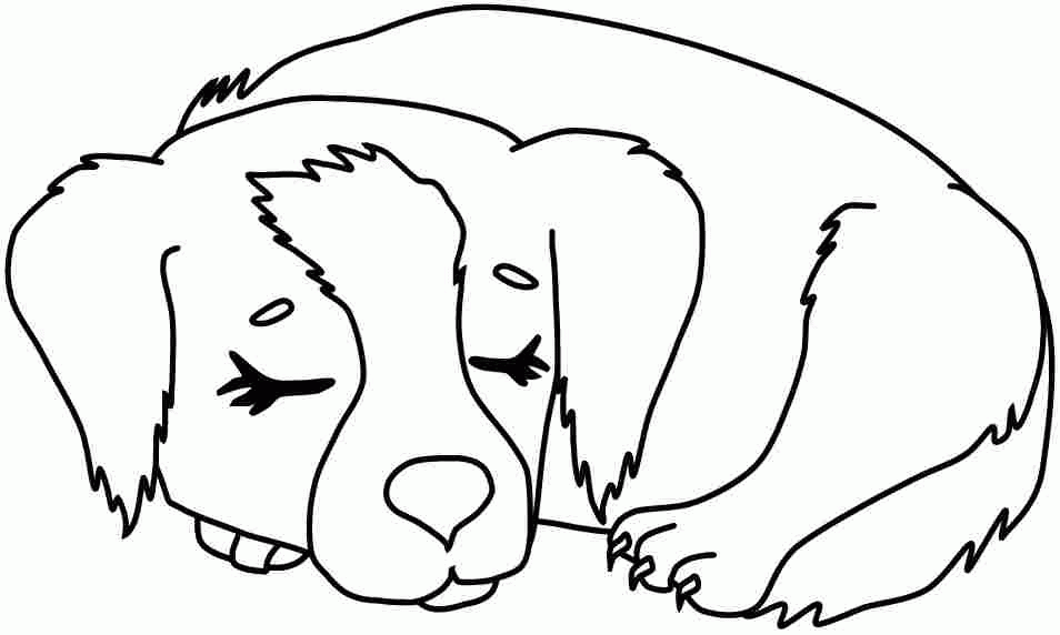 10 Pics of Printable Animal Dog Pugs – Free Pug Coloring Page