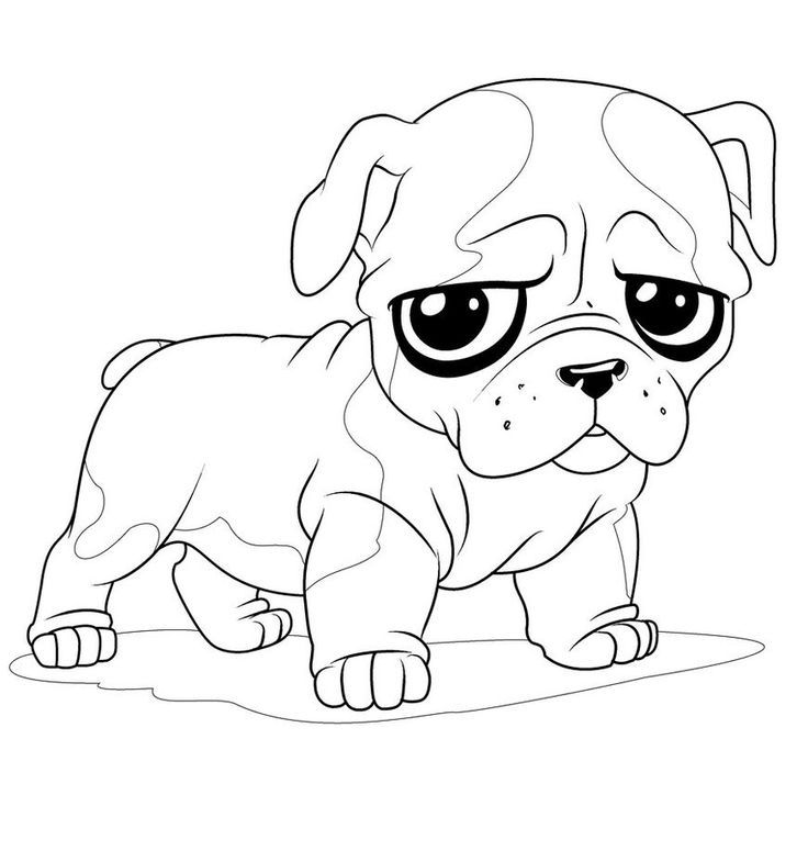 Pug for Coloring Pages
