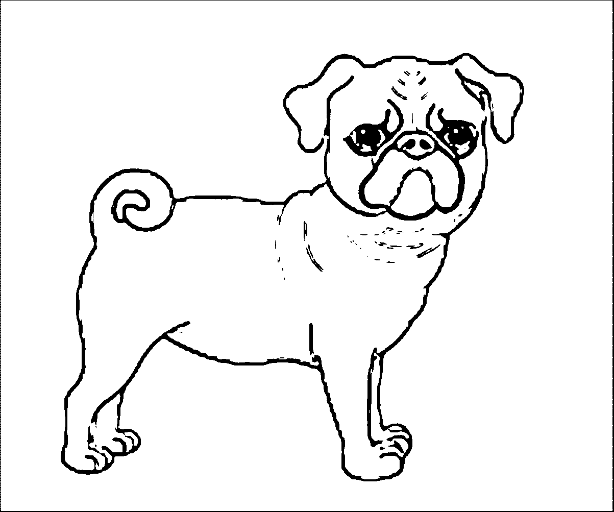 Pug Dog Curly Tail Dog Puppy  Wecoloringpage Coloring Pages