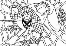 Gratis afdrukbare Spiderman voor kinderen kleurplaat