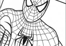 Dibujo de Spiderman para colorear