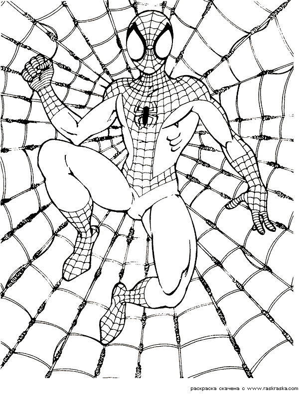 Homem Aranha para Colorir : 20 desenhos para imprimir