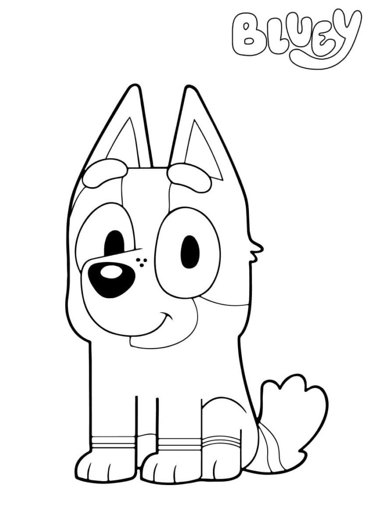 Socks Heeler Coloring Pages