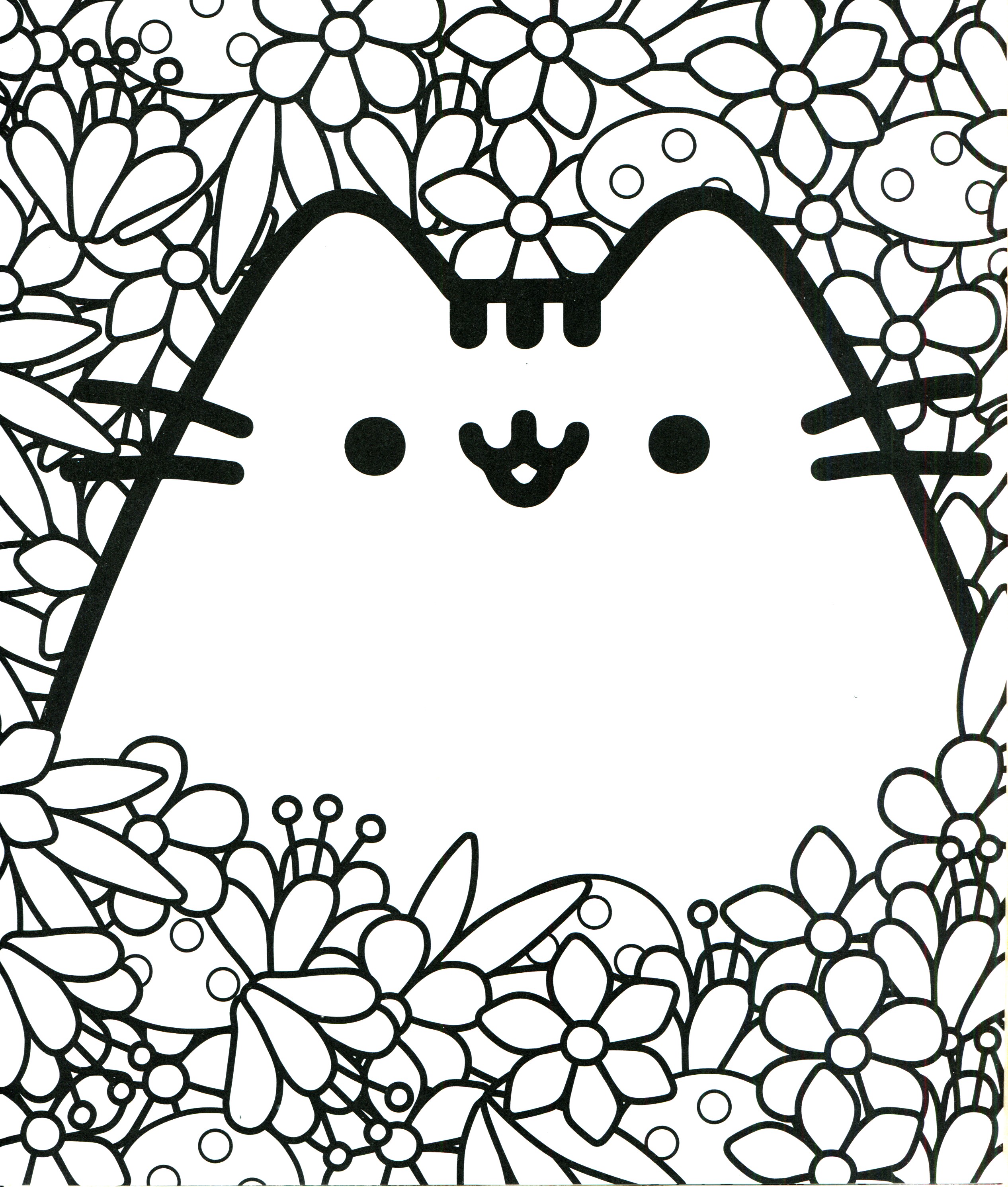 Pusheen Grumpy Cat sur Booktsukihenshin Nyan de Pusheen