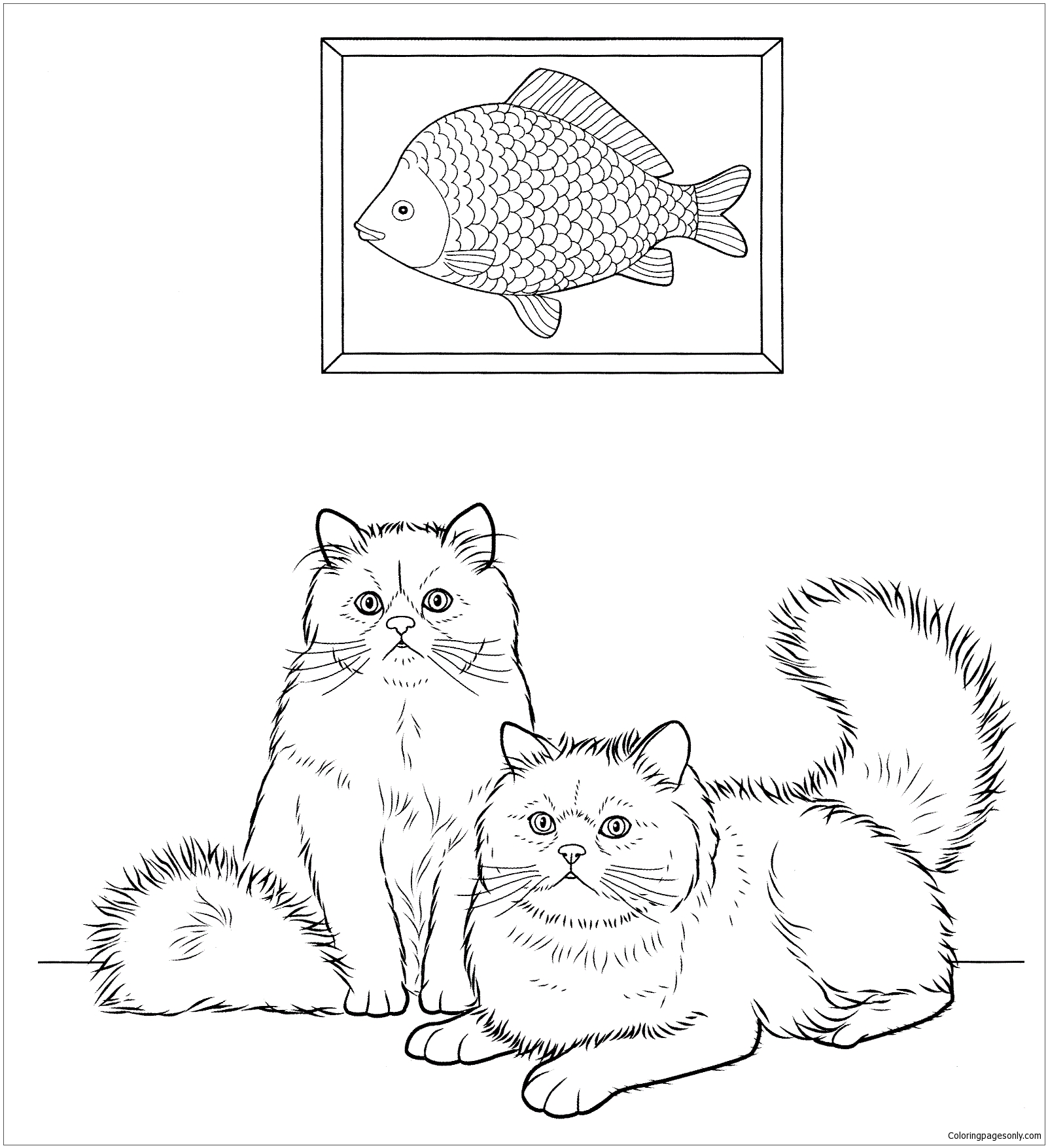 Colorpoint Coloring Page