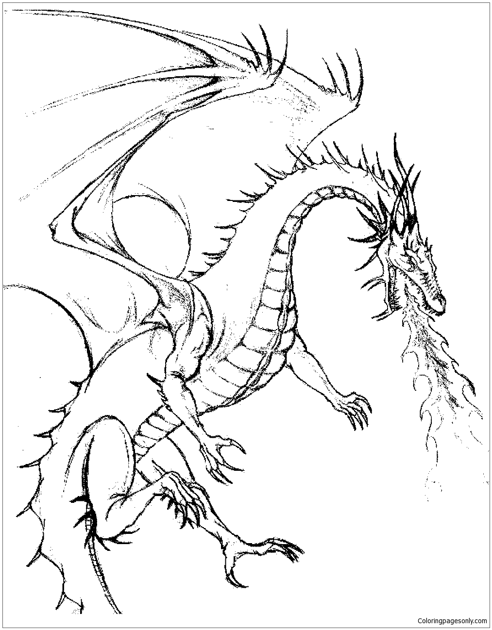 Complete Dragon Coloring Pages
