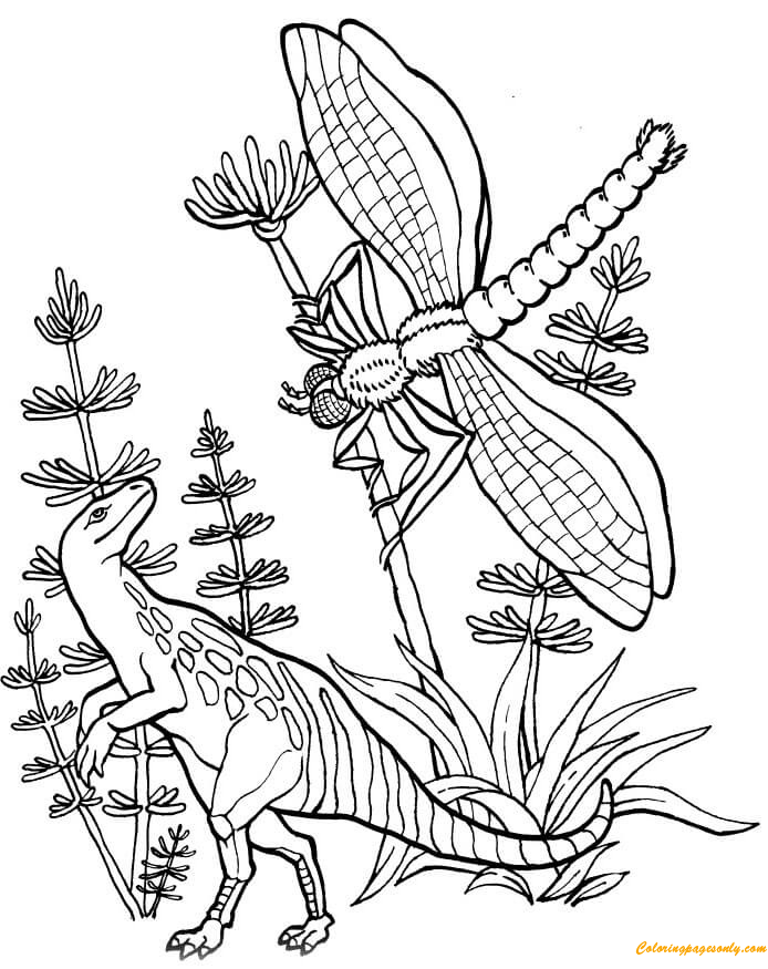 Pagina da colorare di Compsognatus e Meganeura