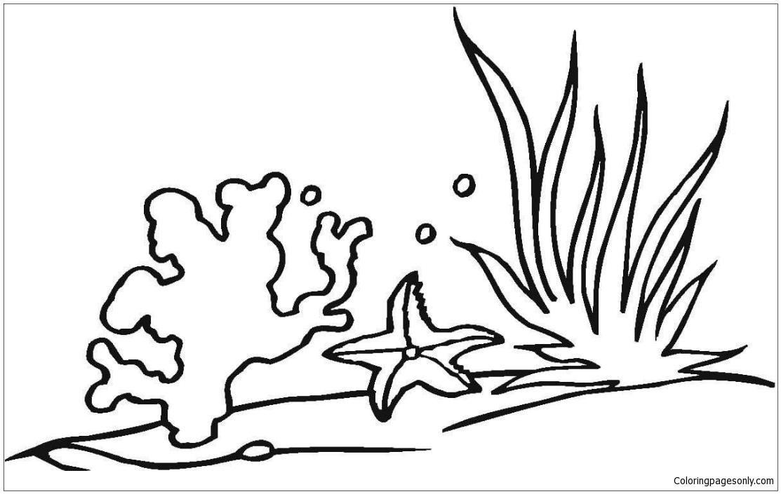 Coral Reef Under Seas Coloring Pages