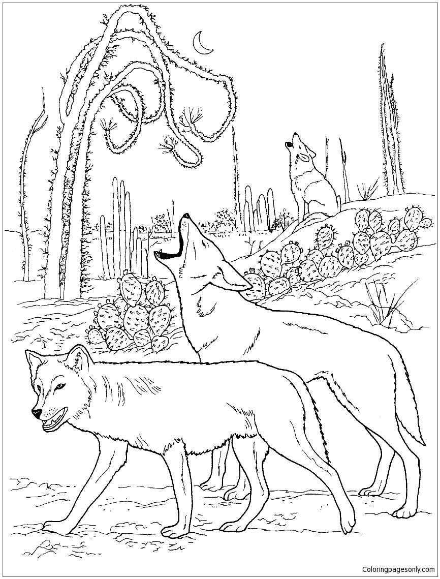 Coyotes Howling in Desert Coloring Page