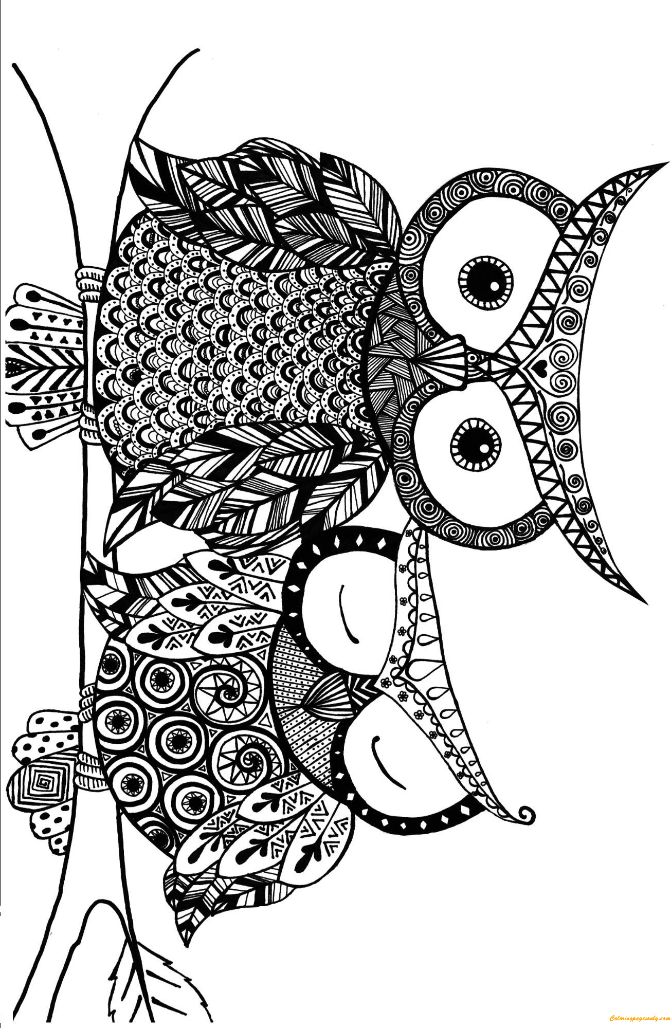 Раскраска Креативные совы
