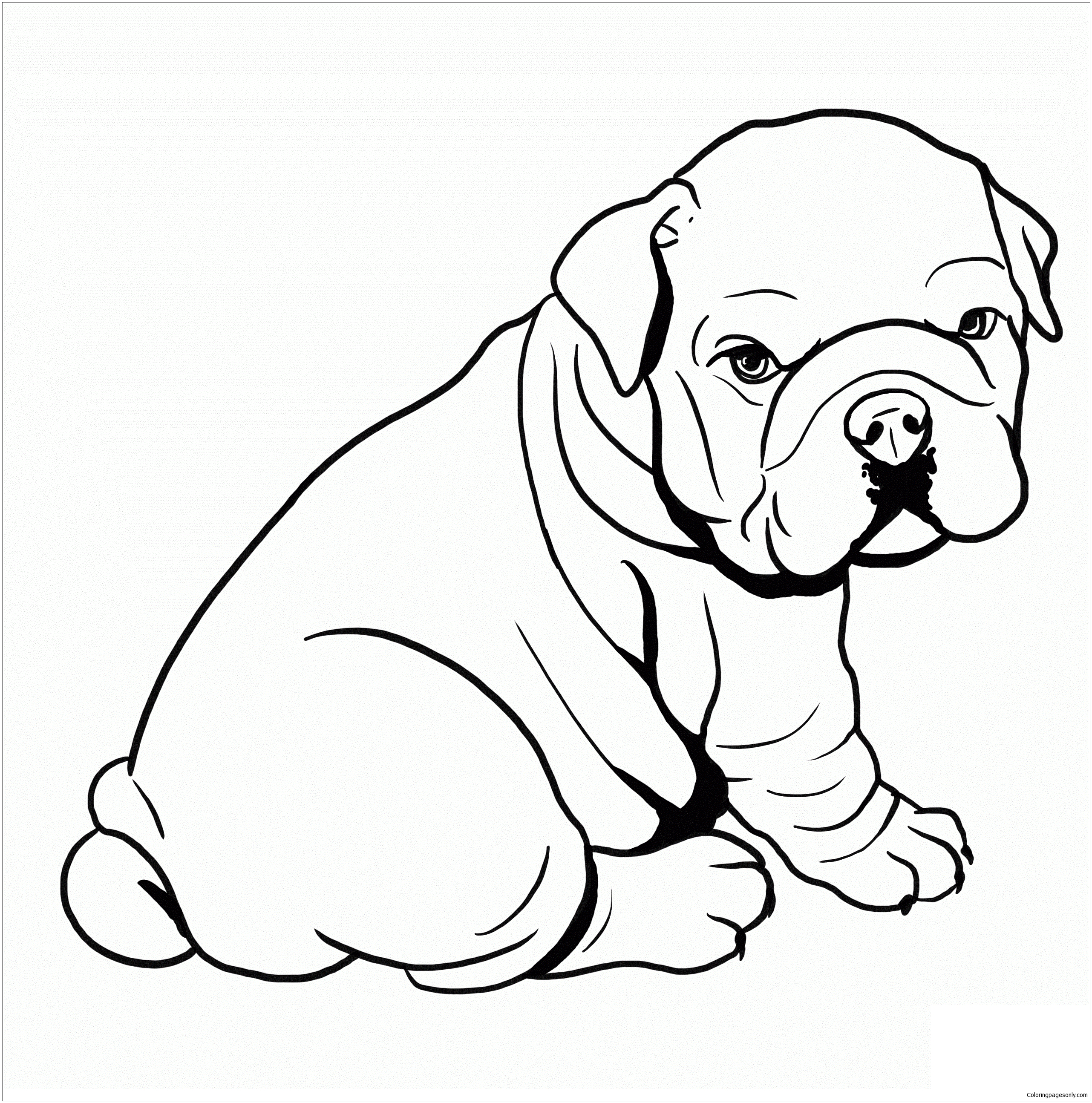 Cute Baby Pitbull Coloring Pages