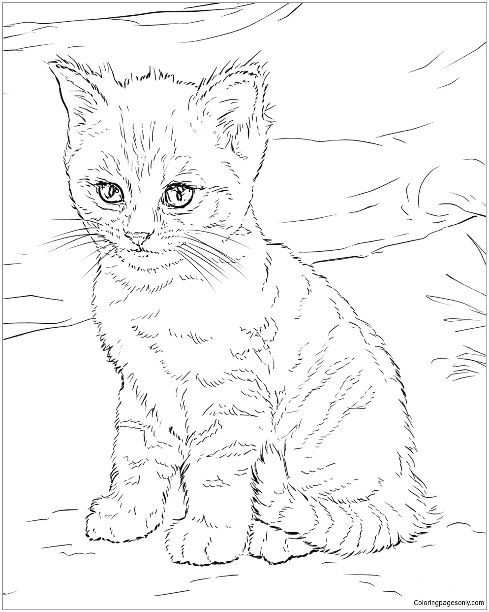 Desenho de Gatinho fofo para colorir  Desenhos para colorir e imprimir  gratis