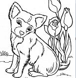 Cute Puppy 9 Coloring Pages